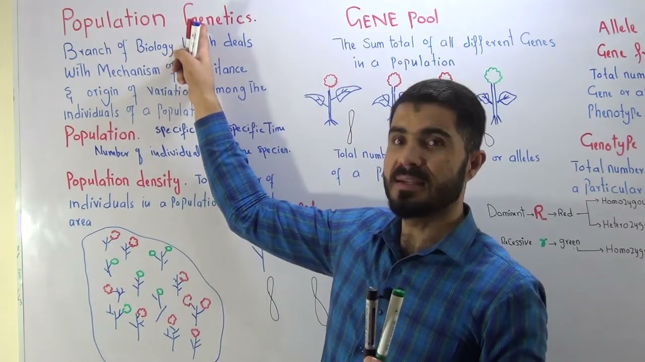 Population Genetics // Population // and population density