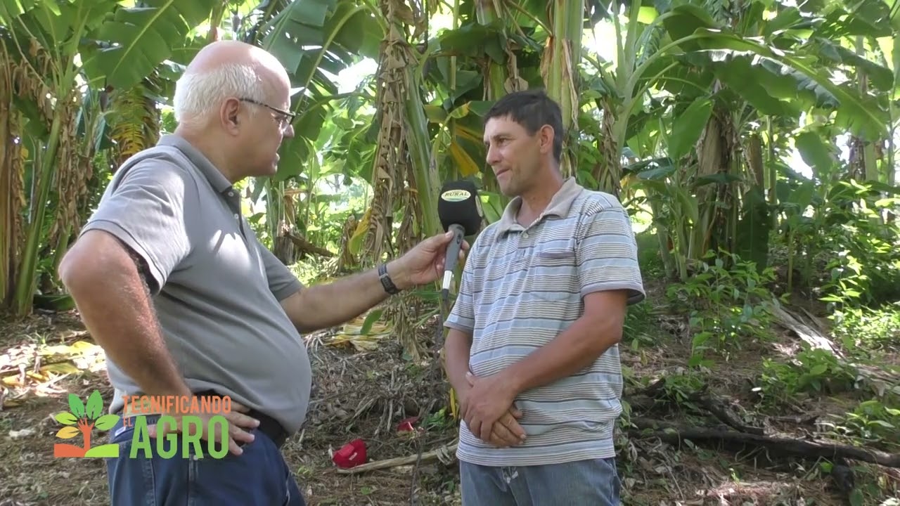 Maracuya. Luis C Rodríguez pequeño productor de maracuya de San Javier explica como cultivarlo