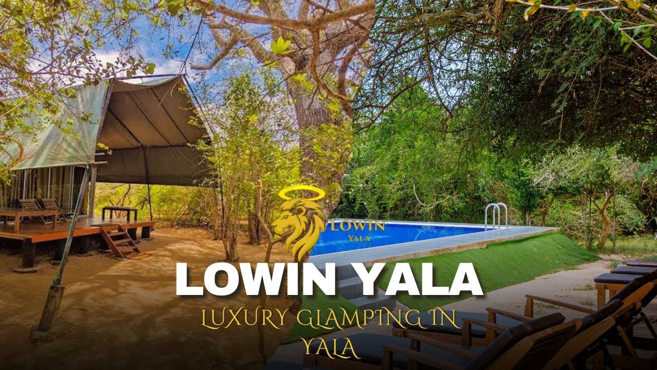 Lowin Yala | Luxury Glamping & Safari Retreat in Yala, Sri Lanka