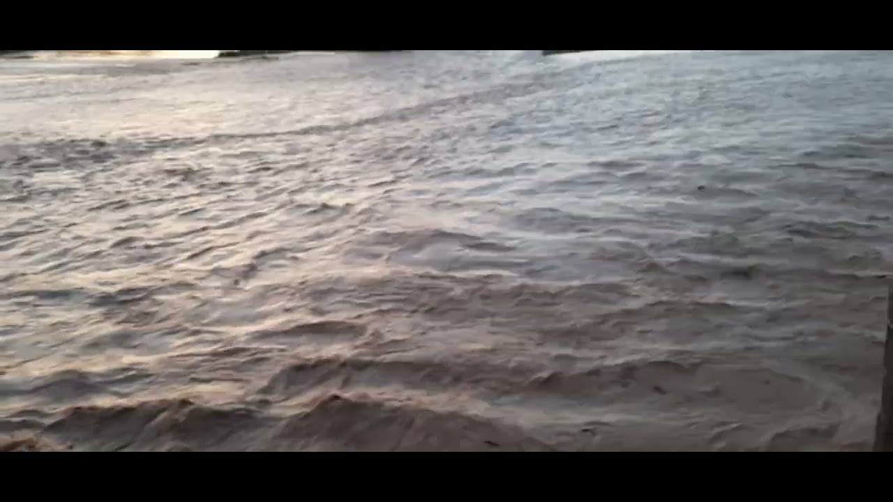 Flood Kosi bairaj Ramnagar #flood #uttarakhand #uttrakhandnews #uttrakhandflood #ramnagar #nainital