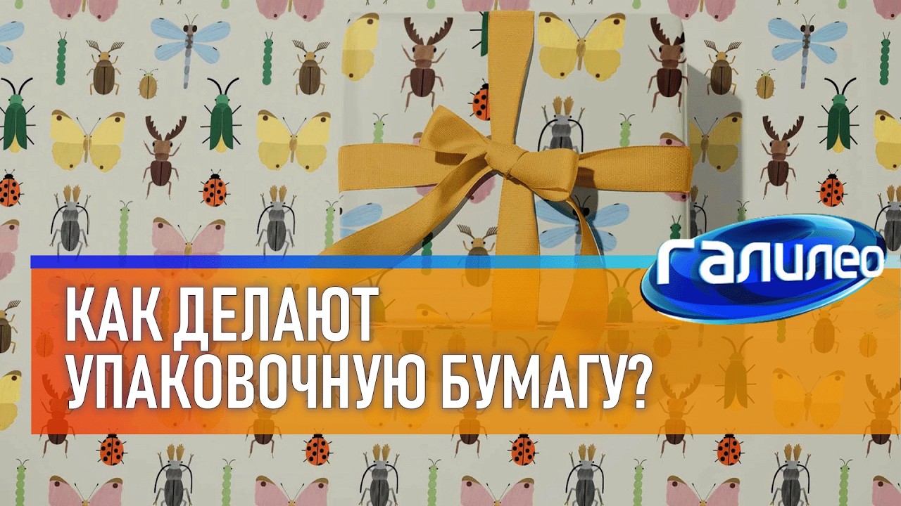 Галилео 🎁 Как делают упаковочную бумагу?