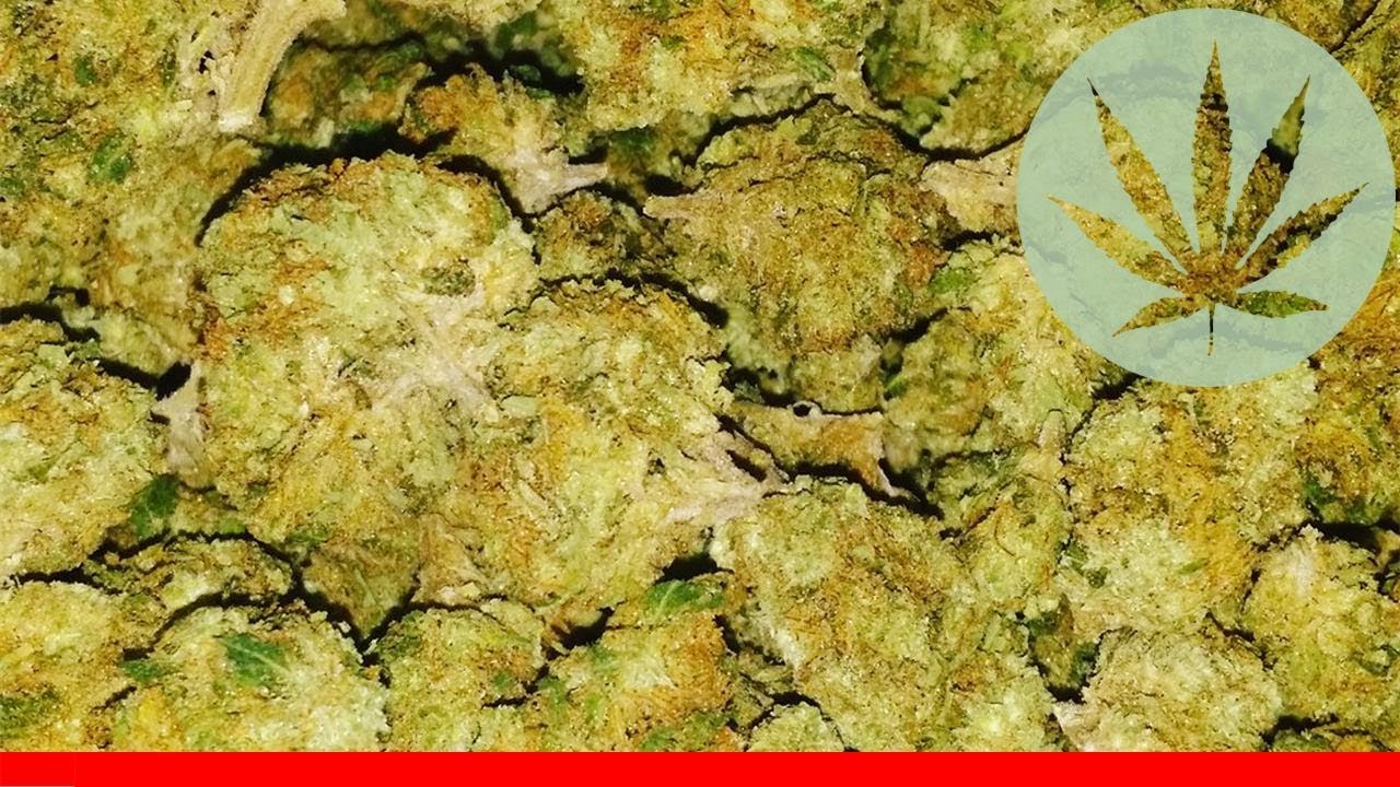 Snowcap - All About This Strain