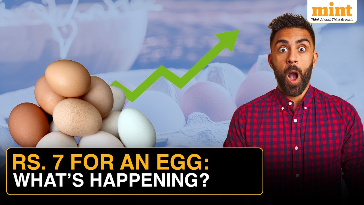 Egg Prices Are SKYROCKETING In India&rsquo;s Biggest Cities | What&rsquo;s Happening?