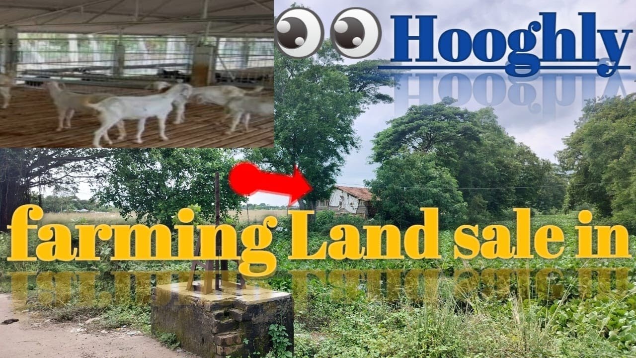 📢 Farming Land for Sale –In Dankuni, Hooghly & Howrah Bodhar Area🏡 , small and big land, 