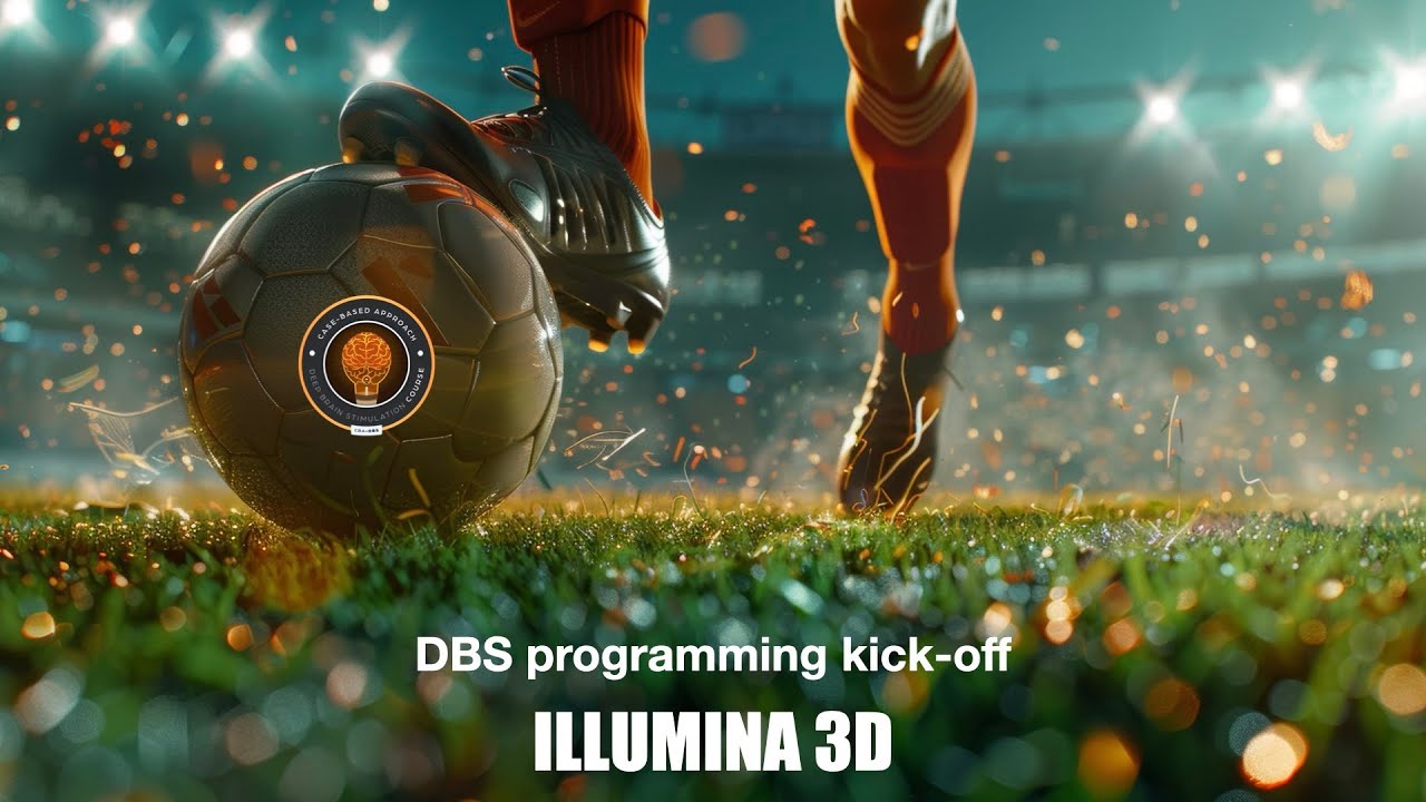 Illumina 3D in Action: Programming DBS Based on the STN Hot Spot