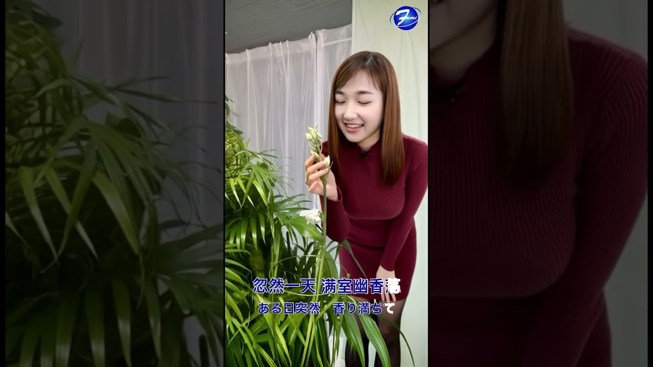 真冬に咲いた夜来香から生まれた楽曲「冬夜来香」。台湾語歌詞に日本語訳付き。AIの知恵を借り、テレサ「夜来香」へのオマージュとして制作しました。#ai音楽 #ai動画 #mv #テレサテン #冬夜来香