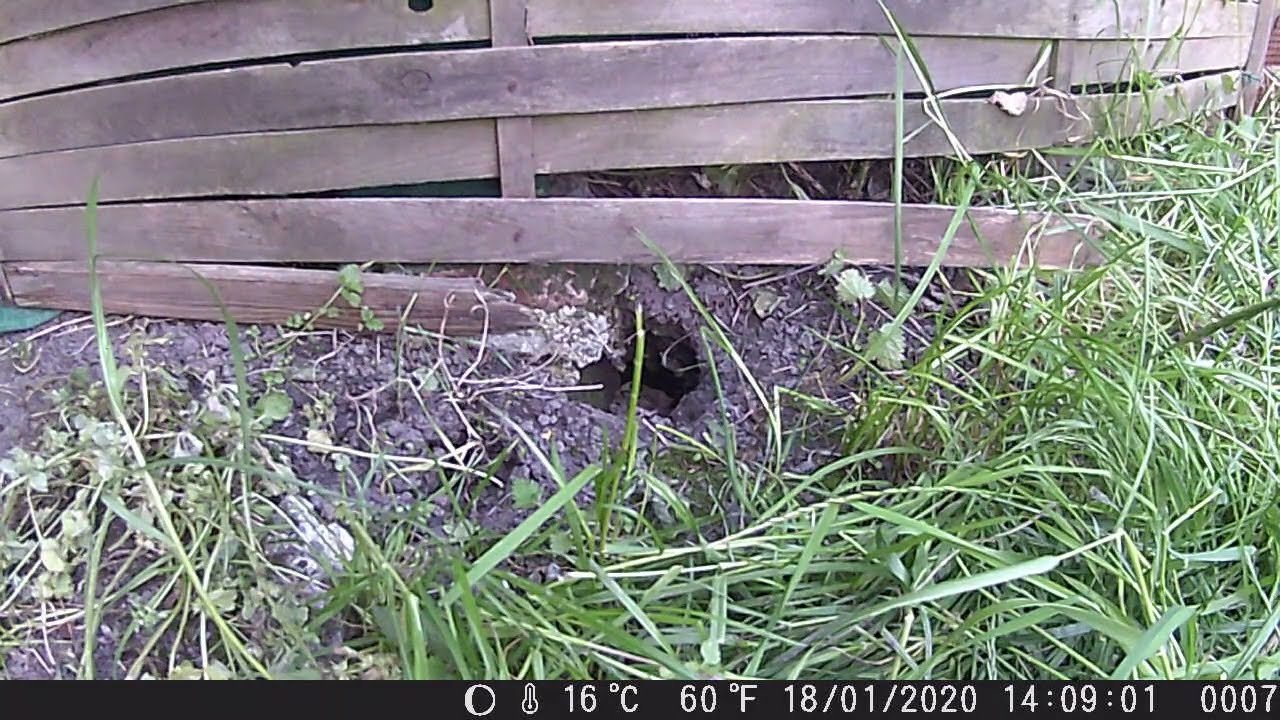 Enorme trou dans le jardin