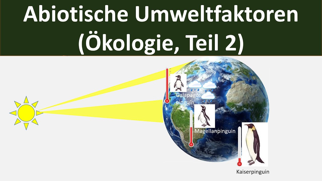 Abiotische Umweltfaktoren [Überblick] - [Temperatur, Wasser, Licht, etc.] [Biologie, Ökologie, 2/10]