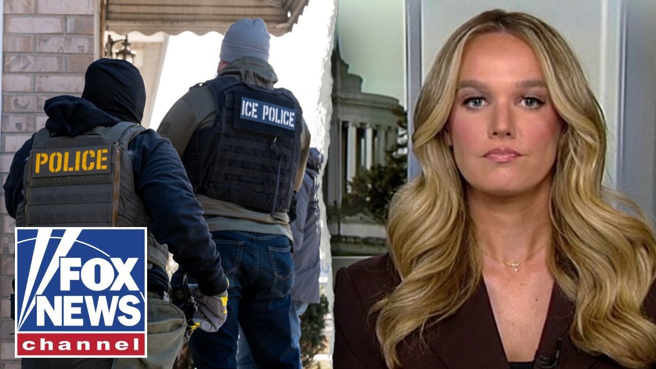 This is ICE hysteria on FULL DISPLAY: DHS official says