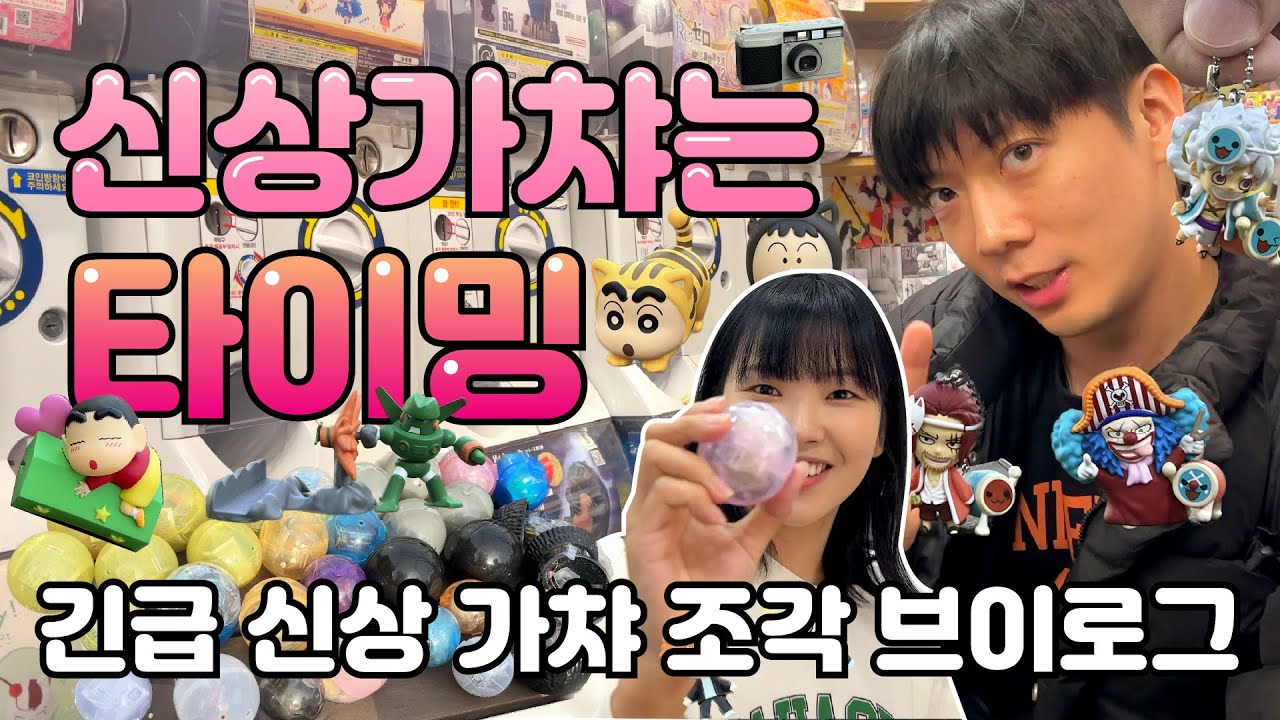 뽑고나니 소장욕구 200%⭐️긴급 신상가챠 조각 브이로그
