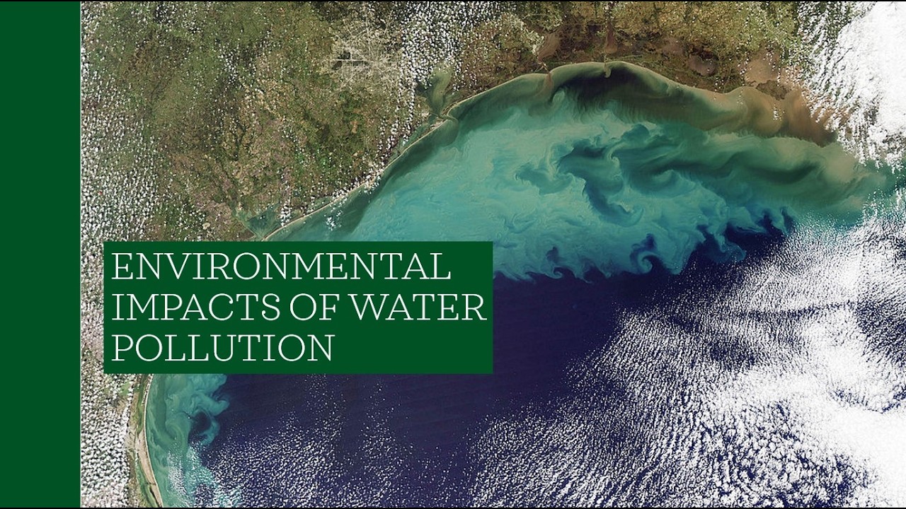 APES 8ii Environmental Impact of Water Pollution Lecture