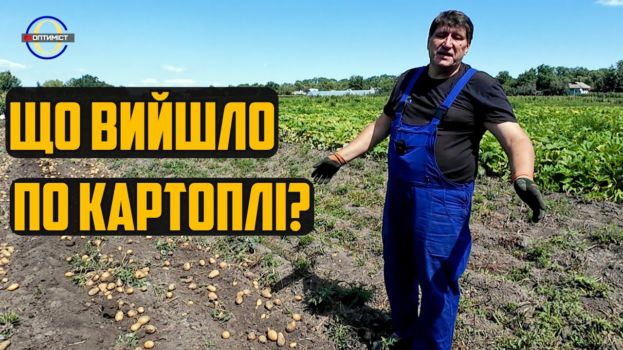 Без картоплі не залишились! Картоплекопалка Петрика + Готуюсь до оранки нові текрони для ПЛН