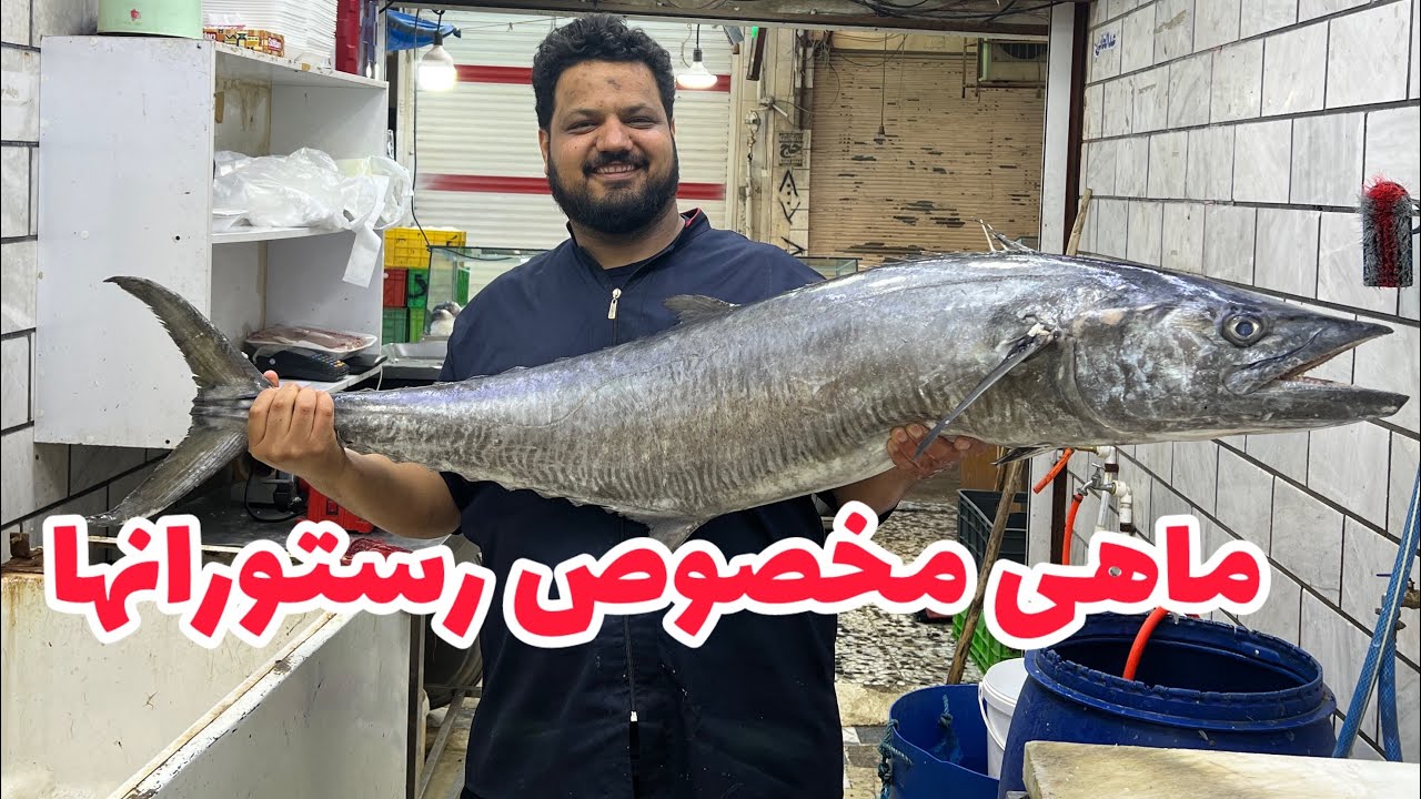 بزرگترین ماهی شیر