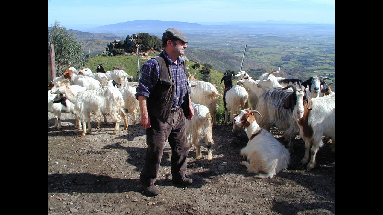 Pastori custodi del territorio