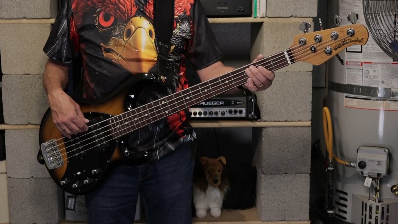 Nitty Gritty Dirt Band - Fire in the Sky (Bass Cover)