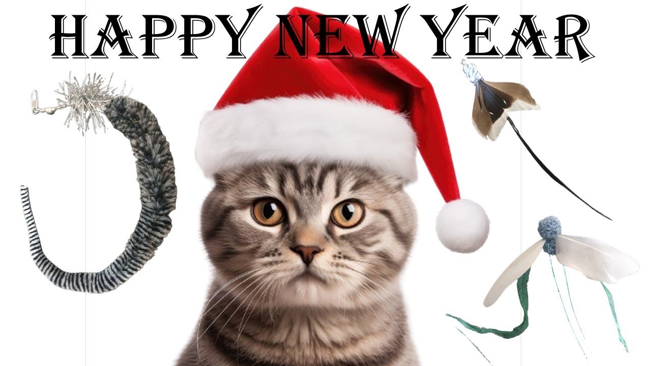 Видео игрушка для кошки 33 игры YouTube happy new year, которая меняется каждые 3 минуты на любимое