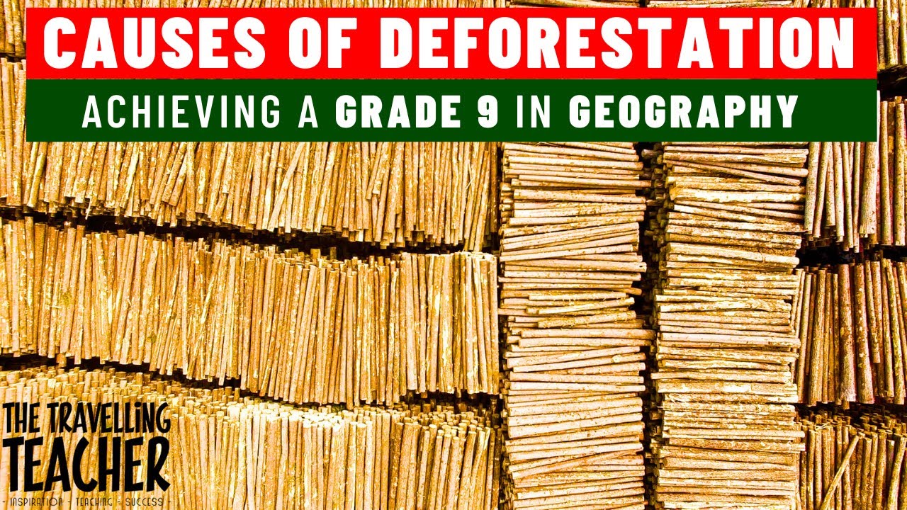 AQA Geography Revision 2024. Causes of deforestation.