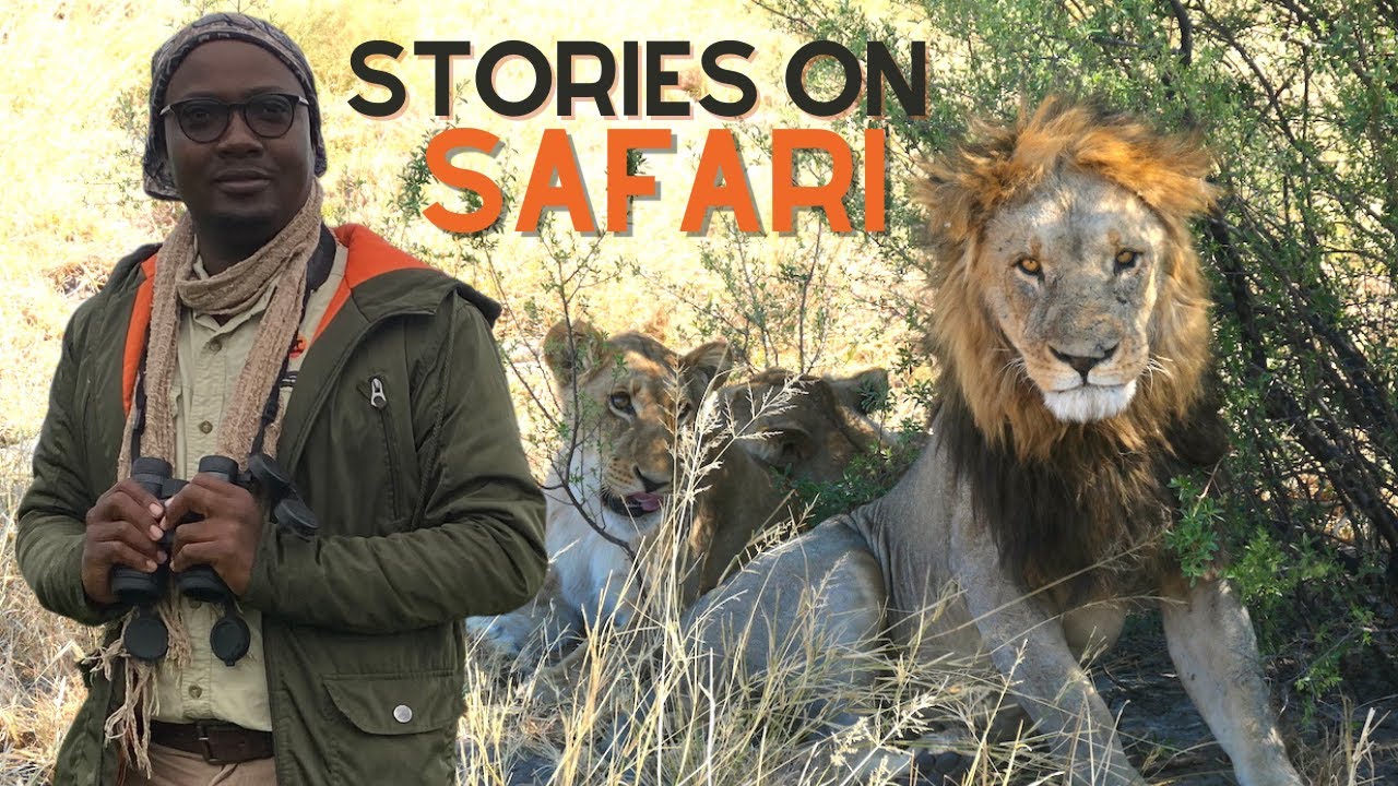 Animal Stories from an African Safari Guide in Botswana - Staring Down a Black Mamba Snake & Lion