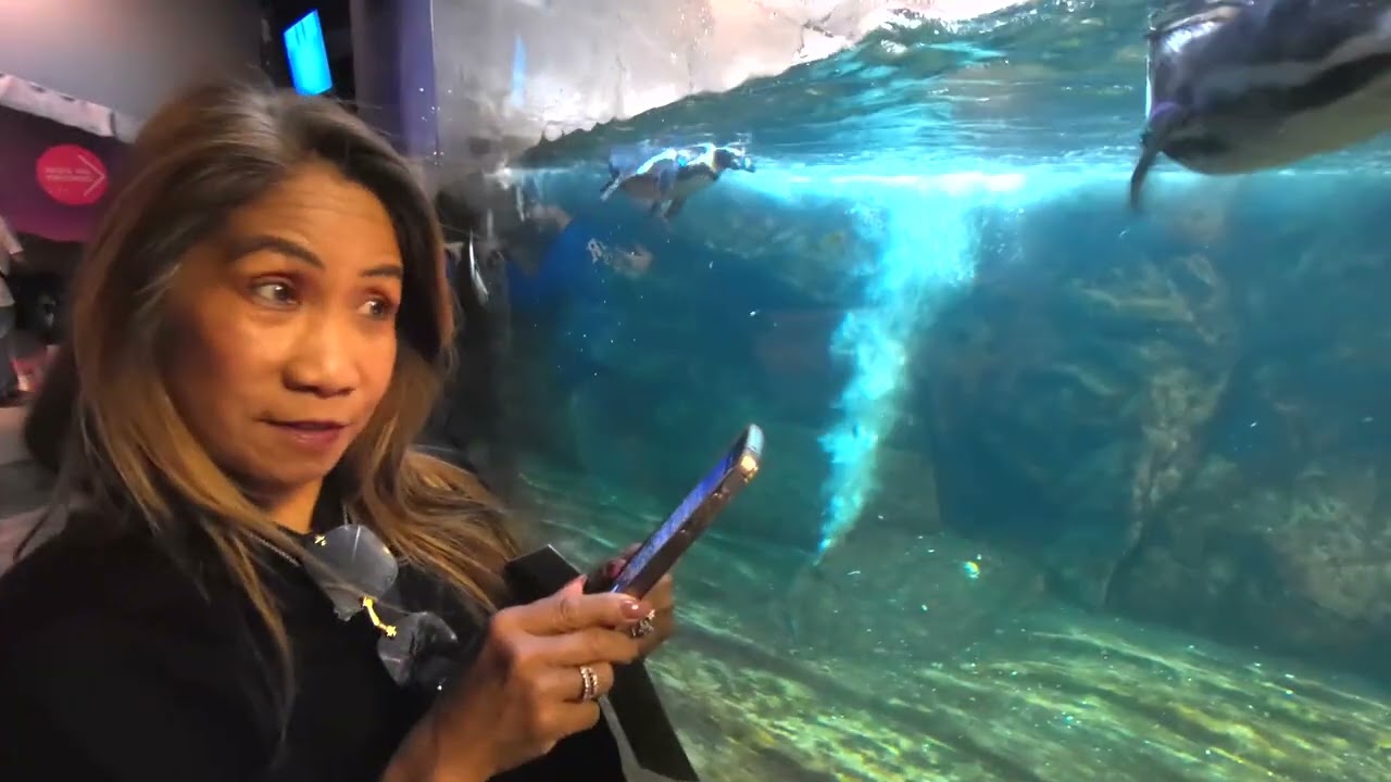 Acquario di Cattolica 2025