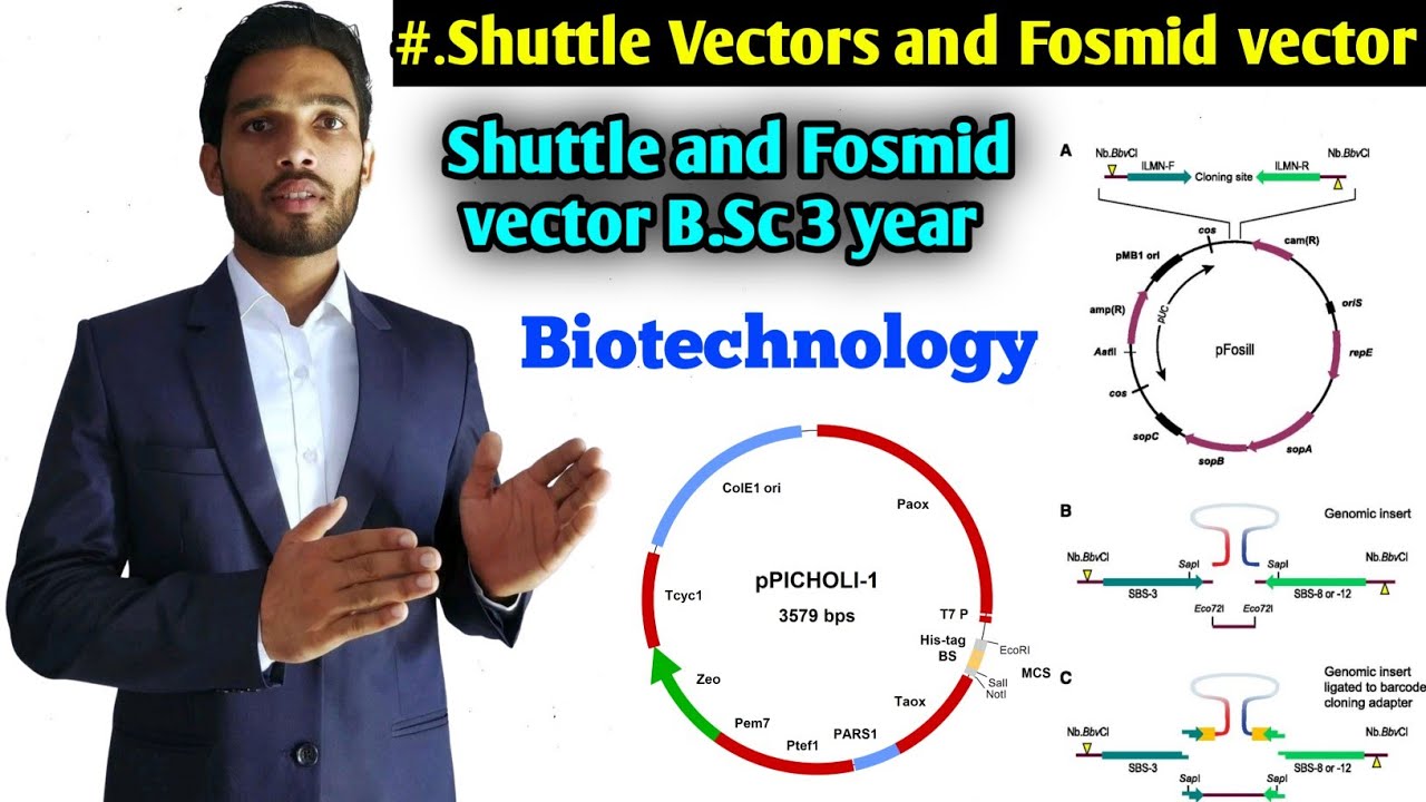 Shuttle vectors || Fosmid Vectors || B.Sc Biotechnology 2nd paper