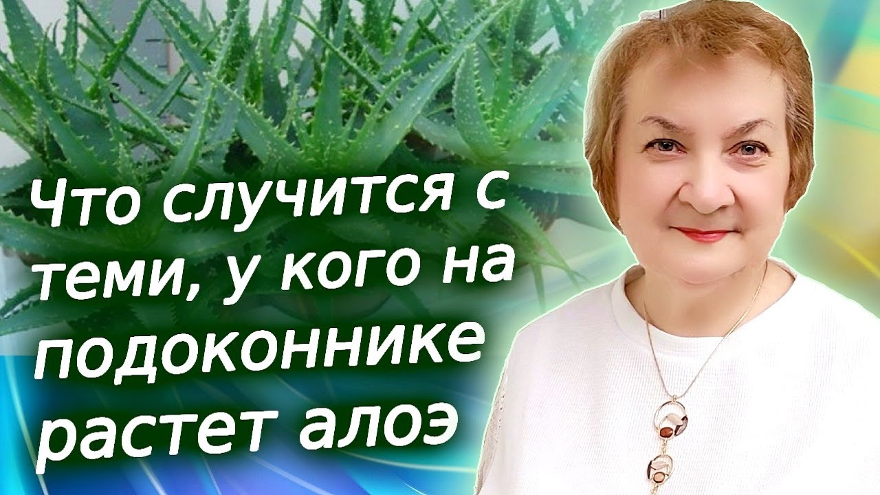 Вот, что случится с теми, у кого дома растет алоэ