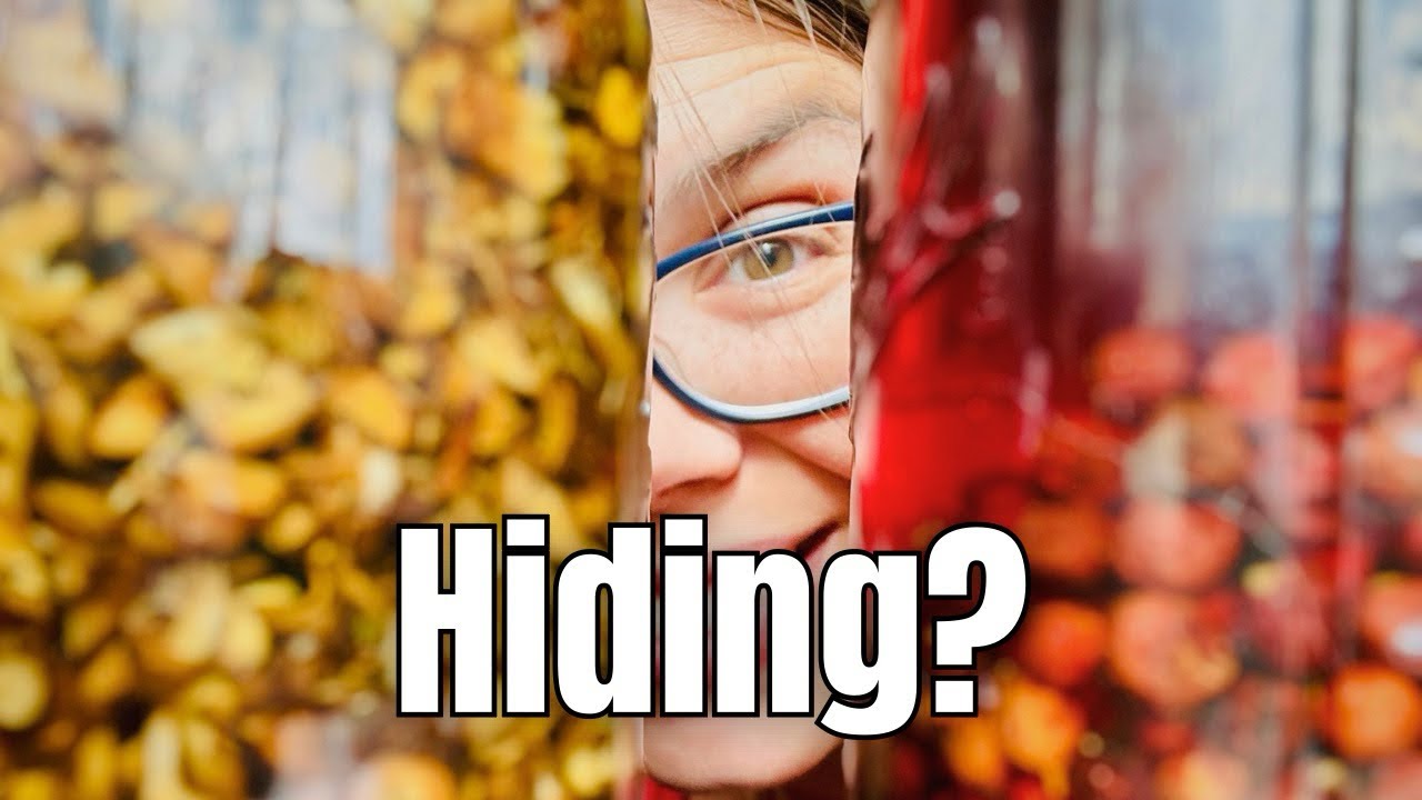 Why I’ve Been So Quiet