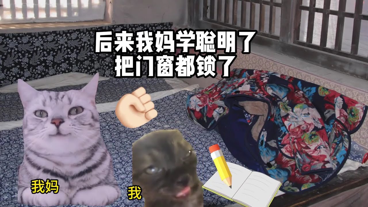 猫meme的日常-当你哥把你卖了是什么体验#猫meme #猫meme小剧场 #猫meme剧场 #内容过于真实 #搞笑