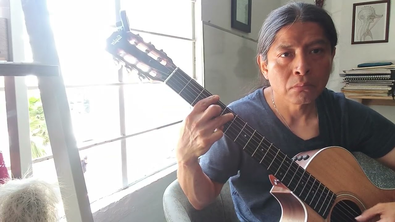 Ondas del Danubio con Guitarra y Campana de la basura. 😅😅🤓🤓