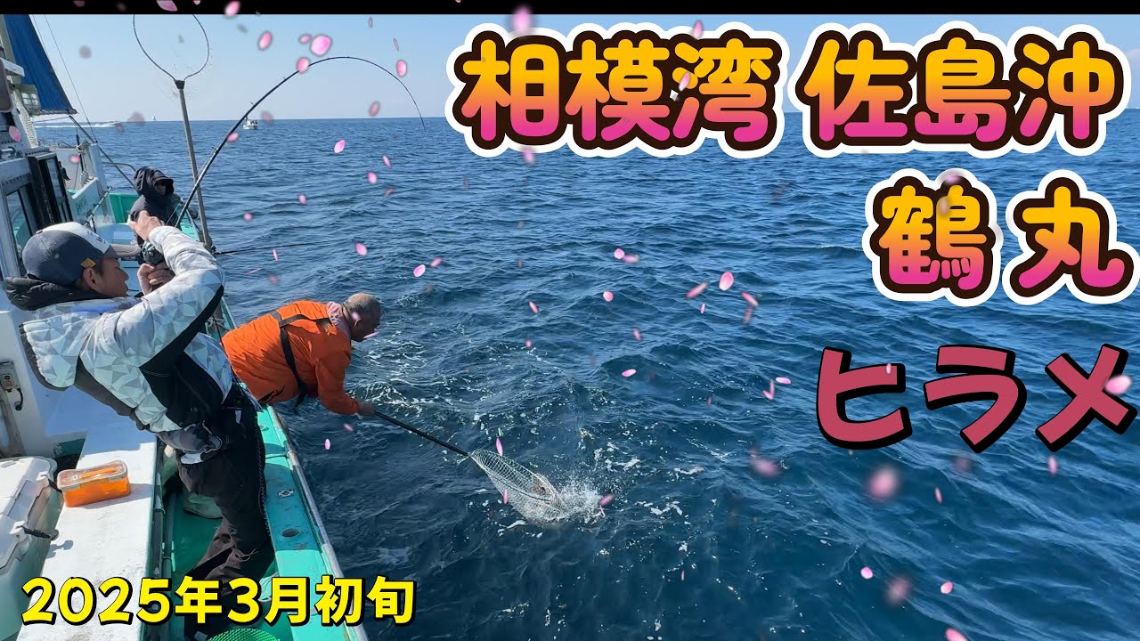 相模湾 ライト ヒラメ 泳がせ釣り 2025年3月