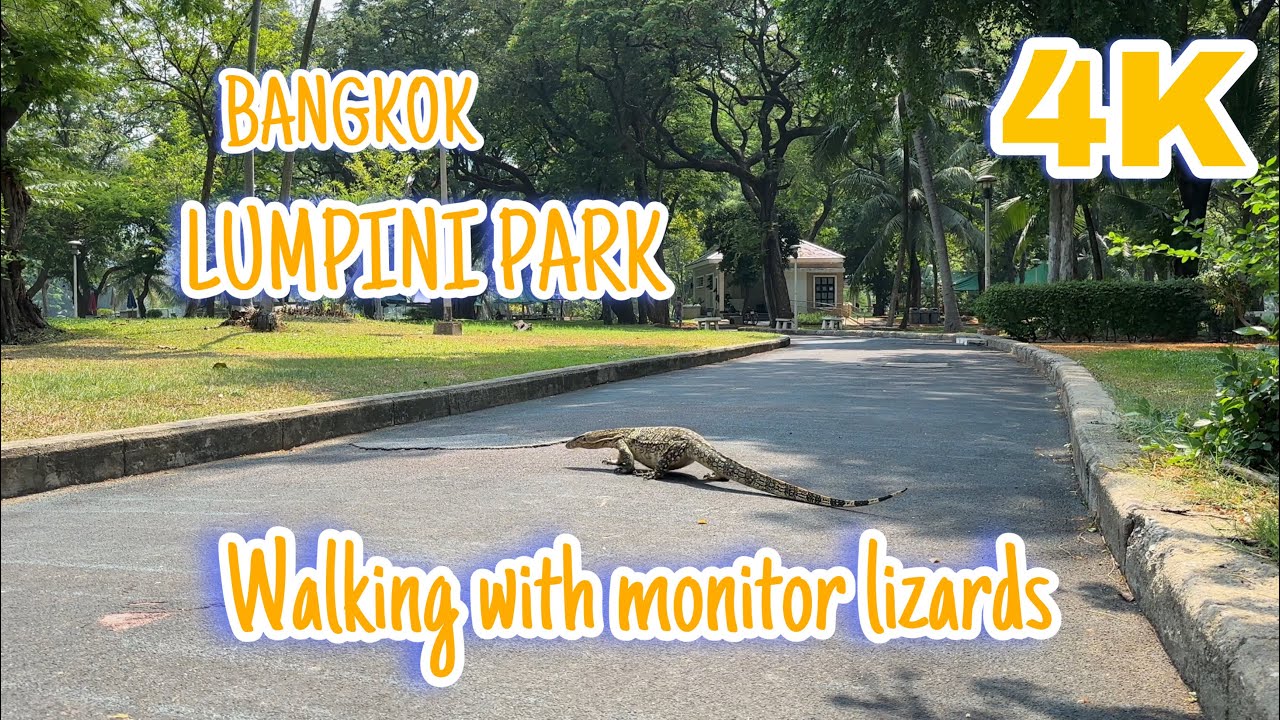 Lumpini Park Walking Tour | Bangkok, Thailand | Water monitor lizards in city center | 4K 60 fps