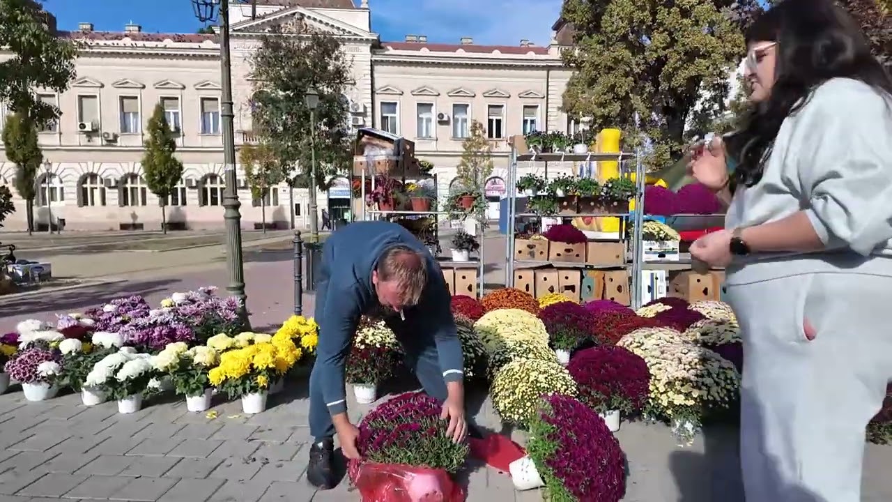 TV BEČEJ: Jesenja &bdquo;Cvetna pijaca&rdquo; danas i sutra na Trgu oslobođenja