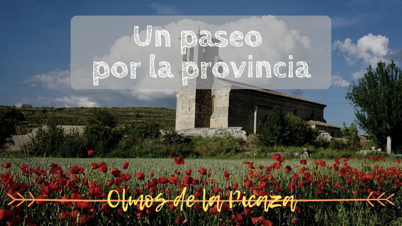UN PASEO POR LA PROVINCIA | Olmos de la Picaza
