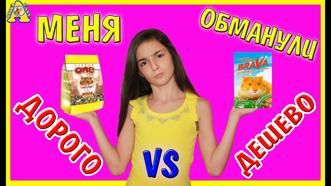 ДОРОГО VS ДЕШЕВО / Little One VS Brava / Литл Ван против Брава / Хомки выбирают корм / Алиса Изи