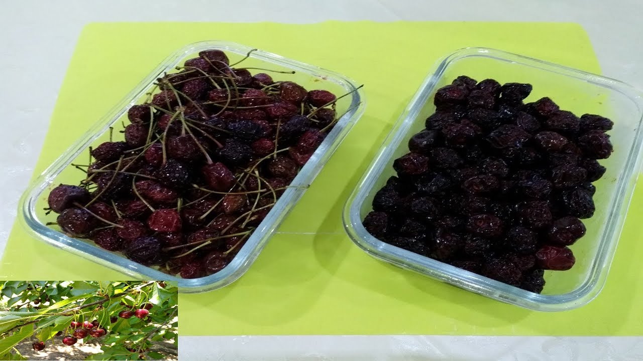Գիլասի Չիր - Сухофрукт из Черешни - Dried fruit from Cherry#Սաթենիկի Խեհանոց