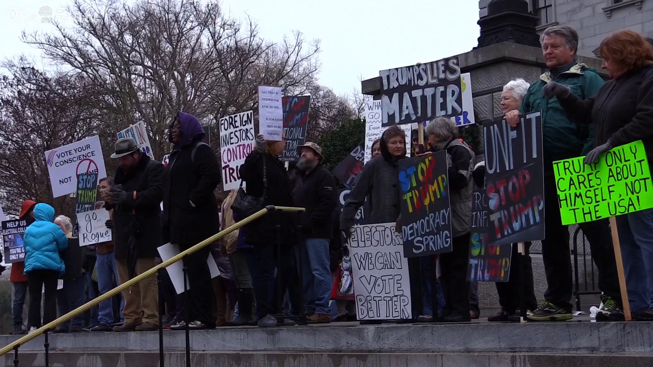 Electoral College Protesters
