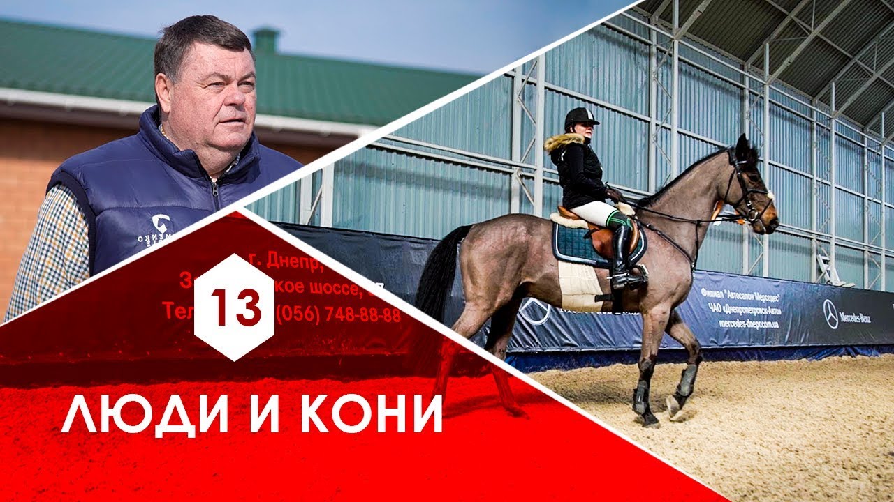 Конный спорт. Klimenko stable. Мэр Кривого Рога. AGROSPHERA