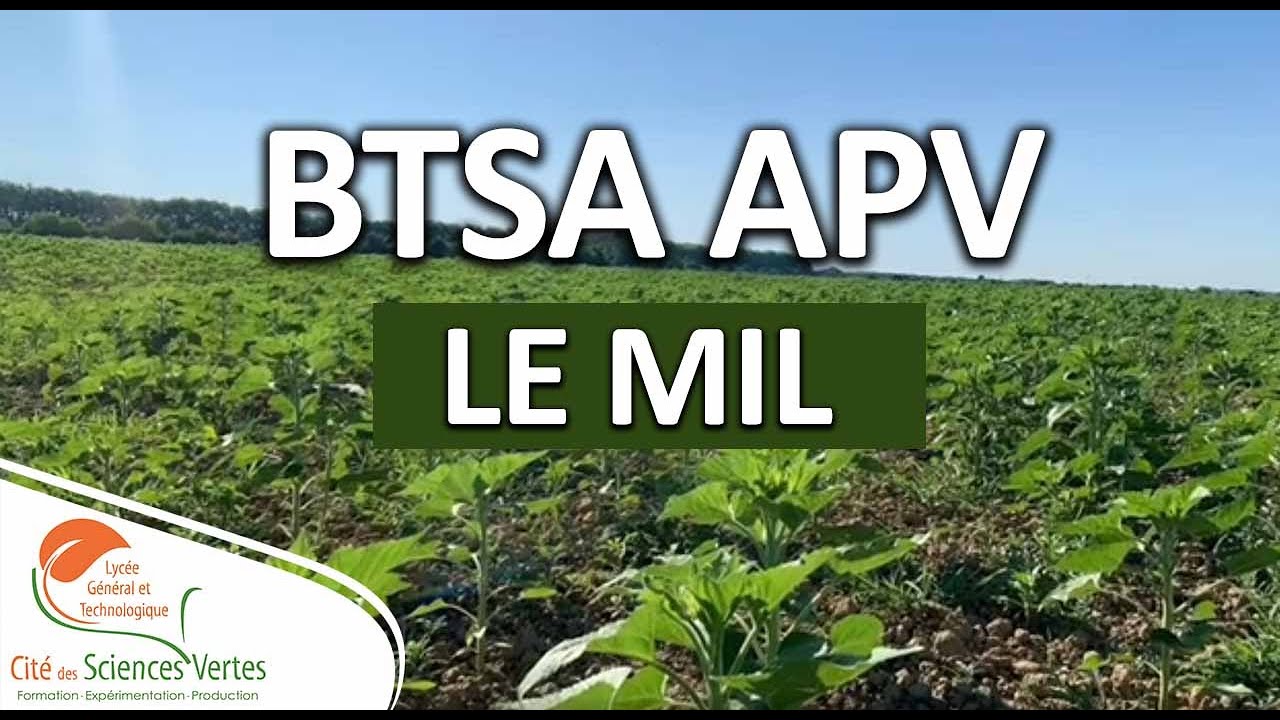 Formation BTS Agricole APV - MIL (Module d'Initiative Locale) - LYCEE AGRICOLE TOULOUSE AUZEVILLE