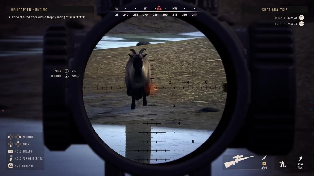 (One Tough Tahr!) Way of the Hunter