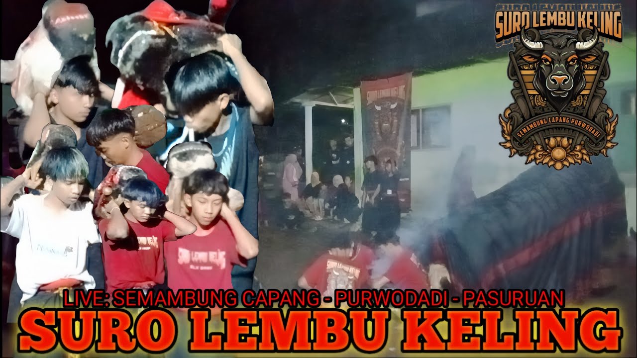 SEPESIAL CLOSINGAN MBEROT|| SURO LEMBU KELING LIVE: SEMAMBUNG CAPANG PURWODADI PASURUAN 