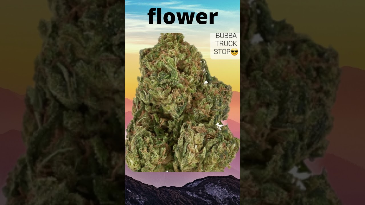 flower or vape#delta8shorts