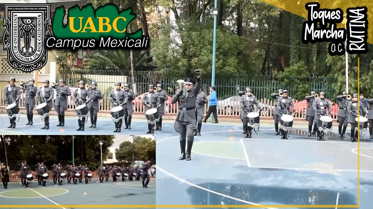 BdG UABC Mexicali Calderón 2019 [Participación completa]