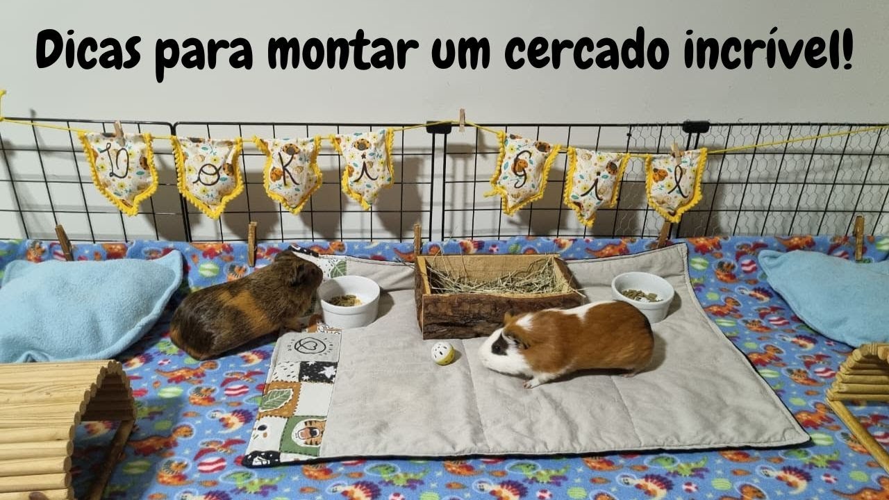 ROTINA COMPLETA: limpando o cercado do zero e muitas dicas e fofuras para vocês ⋆.˚