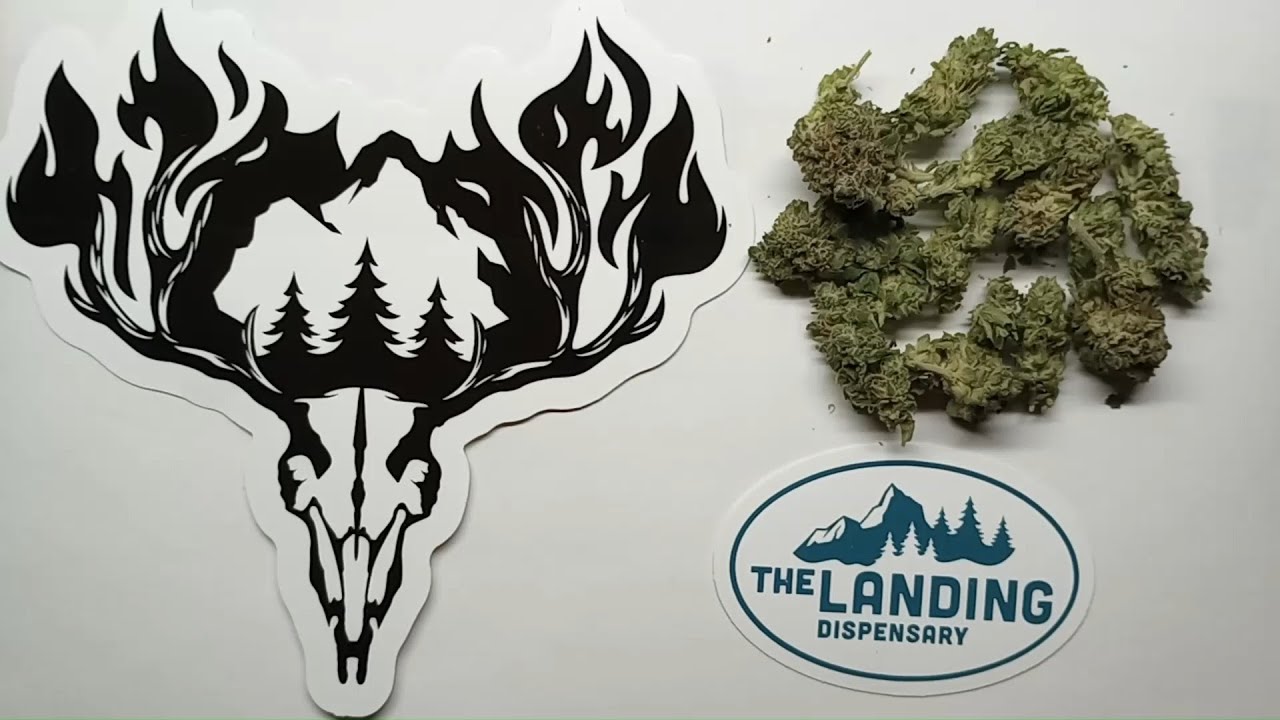 Hillfire Split Vanilla Flower Review