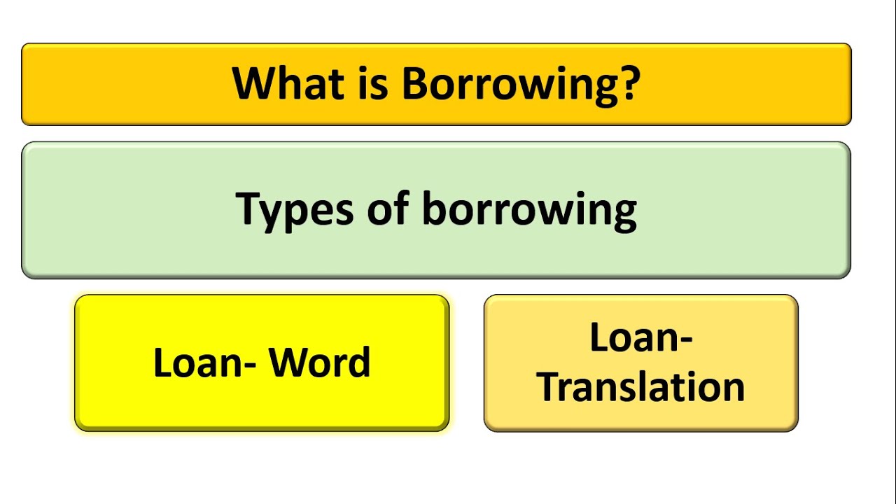 What is Borrowing? Types of Borrowing? Explained with examples.