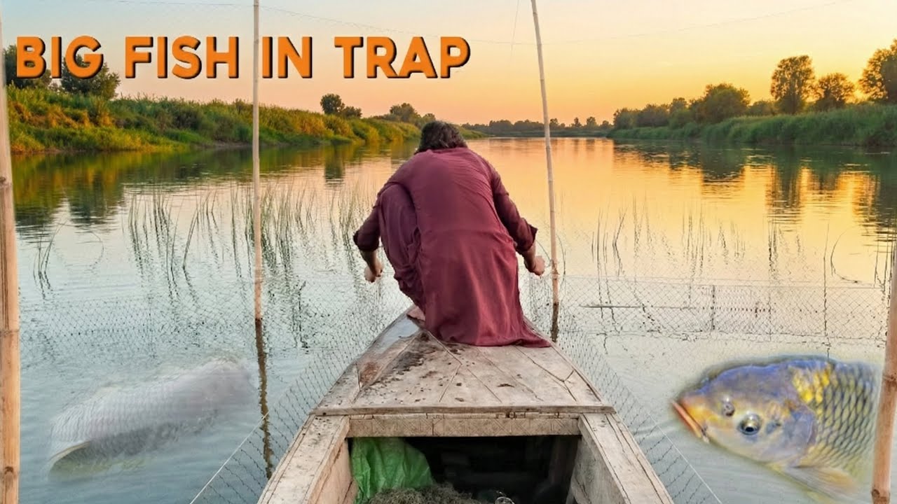 BIG FISH TRAP 😱 | Village Style Fish Catch | Unbelievable Result!
