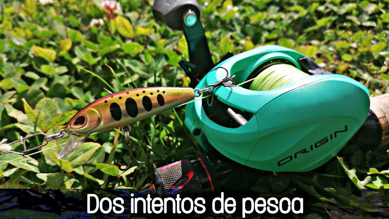 Dos intentos de pesca //REGIÓN DE LOS RIOS //SUR DE CHILE //Baitcasting