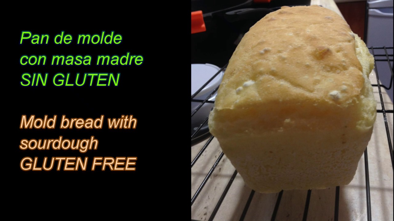 Pan de molde con masa madre Sin Gluten
