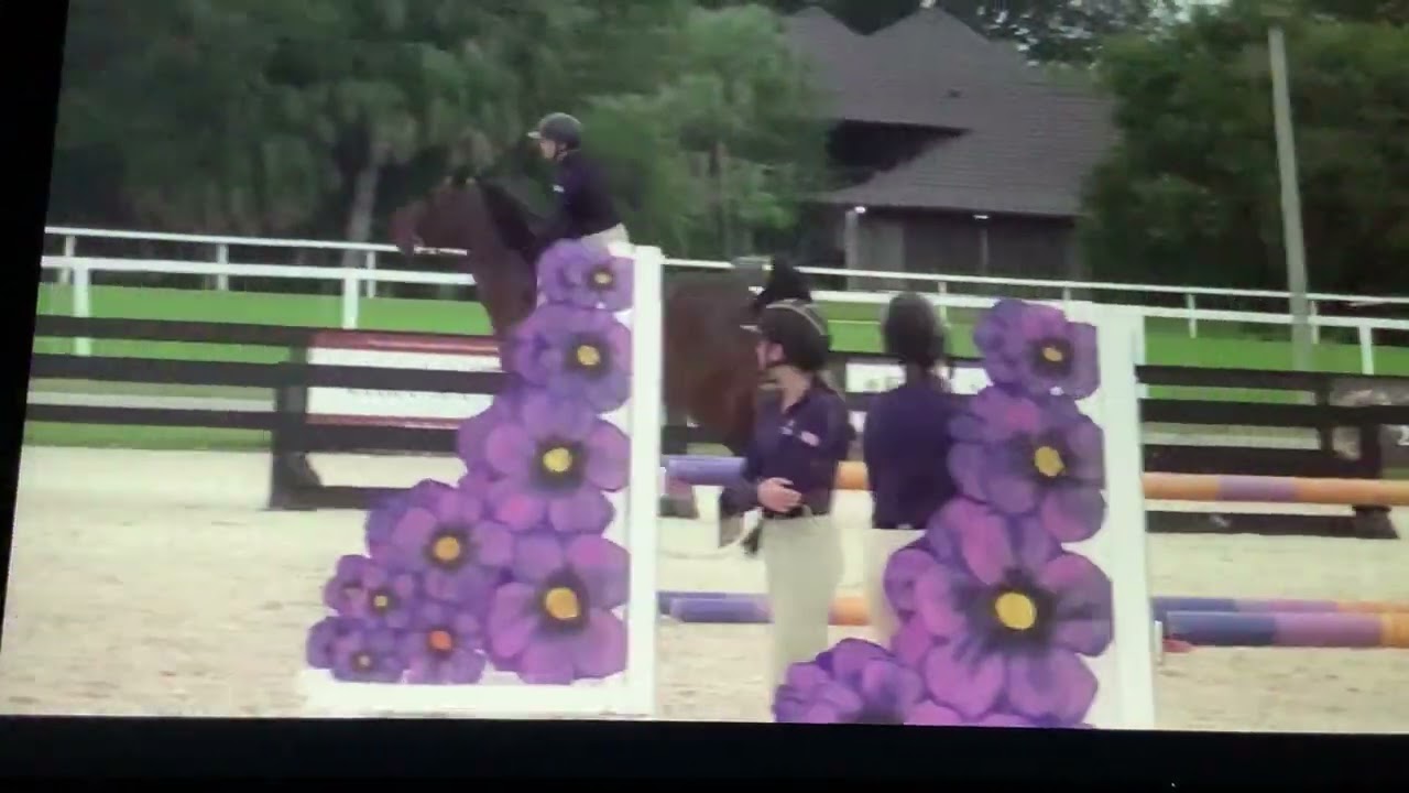 Katie Prudent USEF Clinic Group 1 Part 5