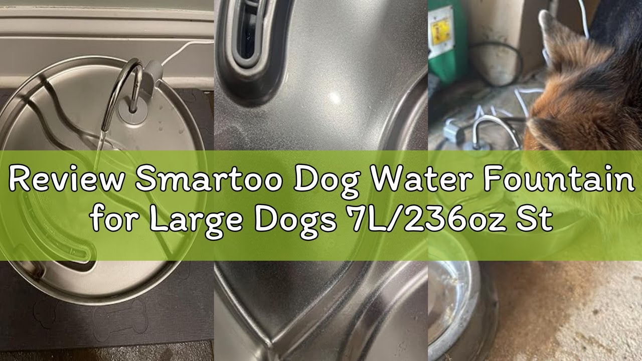 Review Smartoo Dog Water Fountain for Large Dogs 7L/236oz Stainless Steel Dog Water Bowl Dispenser A