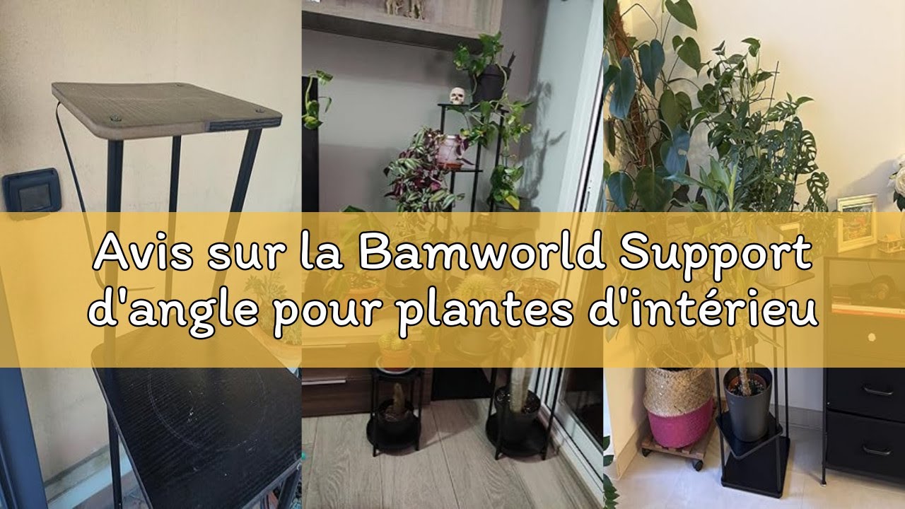 Avis sur la Bamworld Support d'angle pour plantes d'int&eacute;rieur, &eacute;tag&egrave;re en m&eacute;tal &agrave; 4 niveaux pour plu